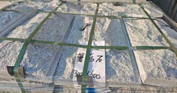 肇庆芝麻白蘑菇石，自然面