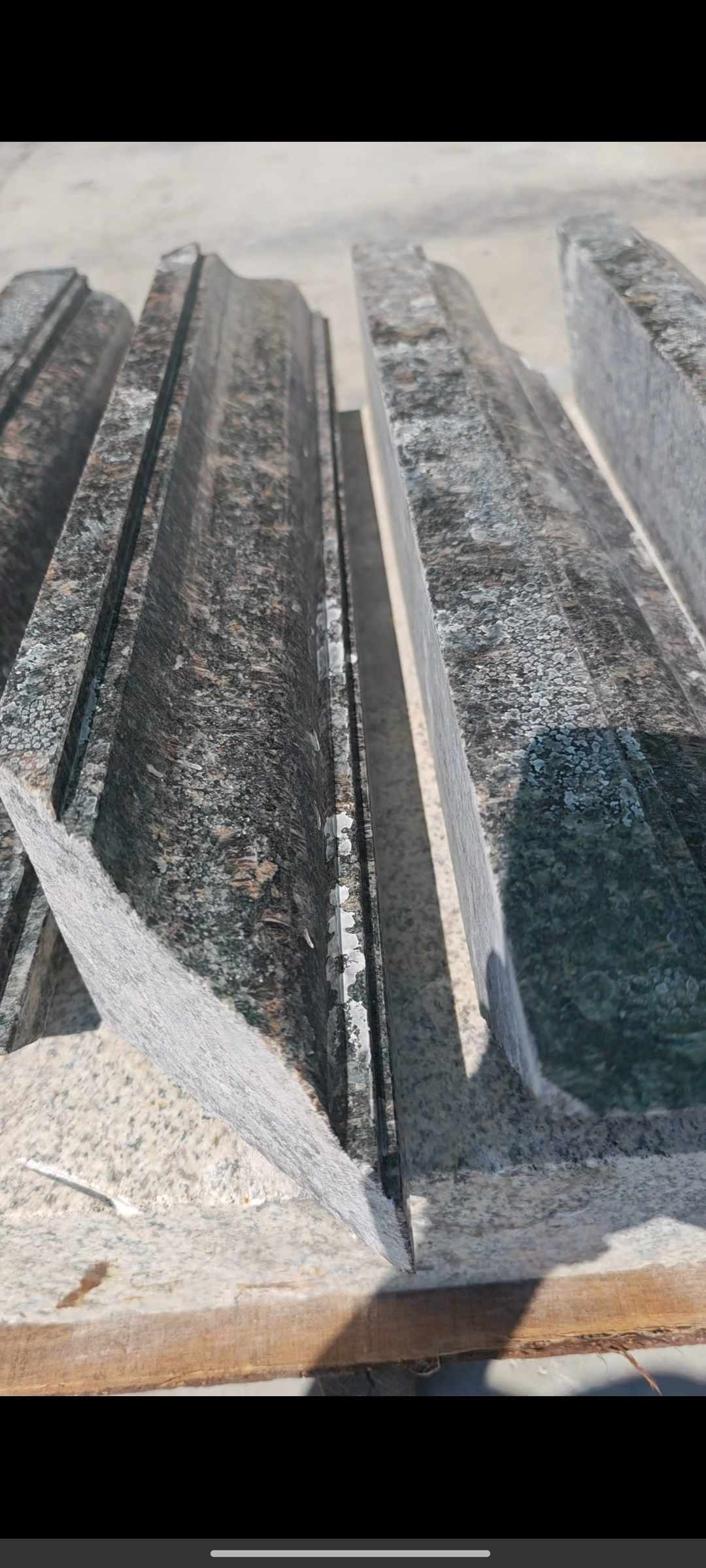 肇庆英国棕别墅线条